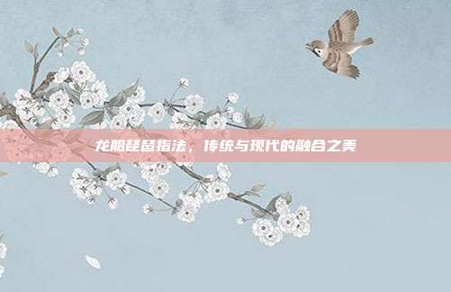 龙船琵琶指法，传统与现代的融合之美
