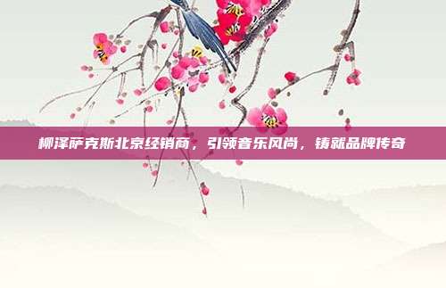 柳泽萨克斯北京经销商，引领音乐风尚，铸就品牌传奇