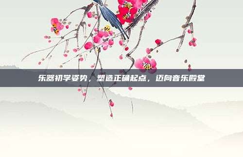 乐器初学姿势，塑造正确起点，迈向音乐殿堂