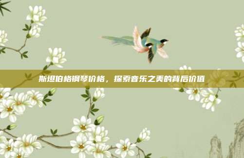 斯坦伯格钢琴价格，探索音乐之美的背后价值