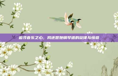 追寻音乐之心，我还想她钢琴谱的旋律与情感