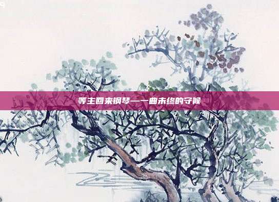等主回来钢琴—一曲未终的守候