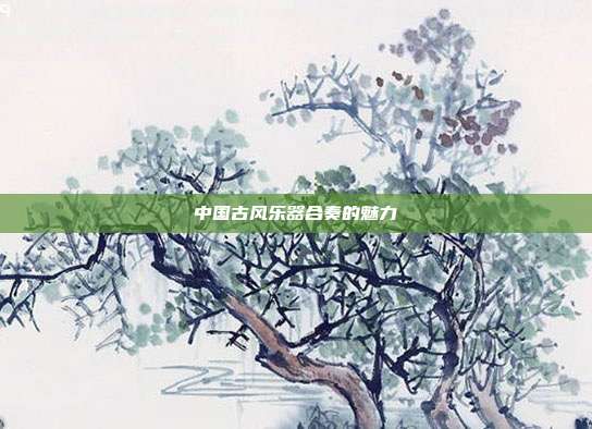 中国古风乐器合奏的魅力
