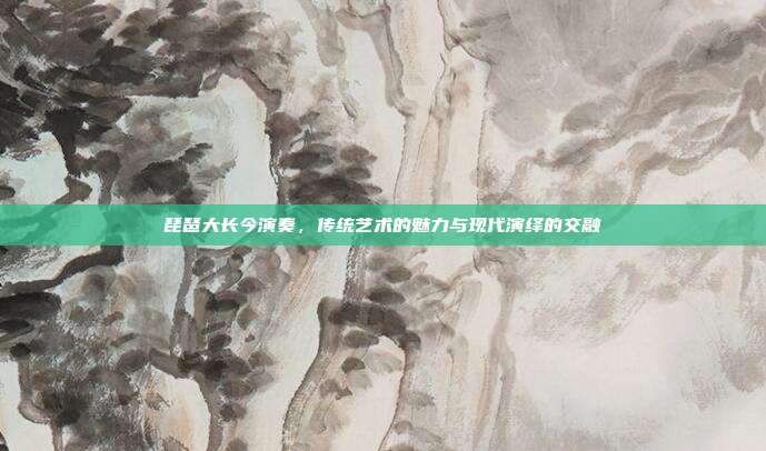 琵琶大长今演奏，传统艺术的魅力与现代演绎的交融