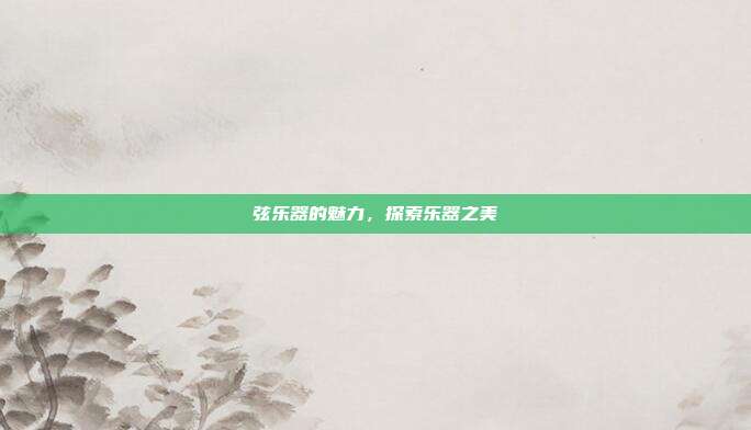 弦乐器的魅力，探索乐器之美