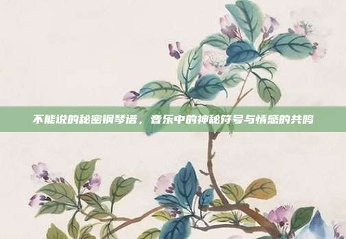 不能说的秘密钢琴谱,音乐中的神秘符号与情感的共鸣