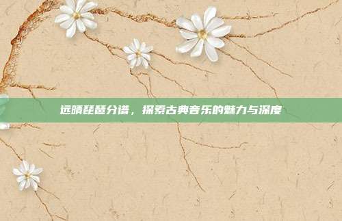 远晴琵琶分谱，探索古典音乐的魅力与深度