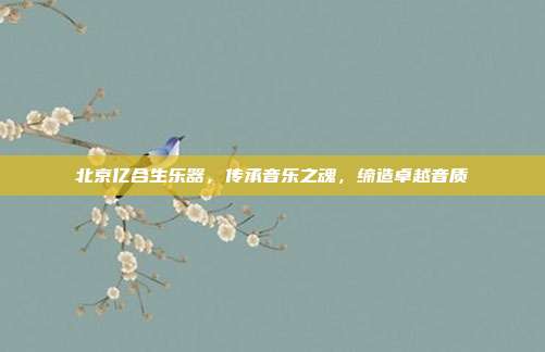 北京亿合生乐器,传承音乐之魂,缔造卓越音质