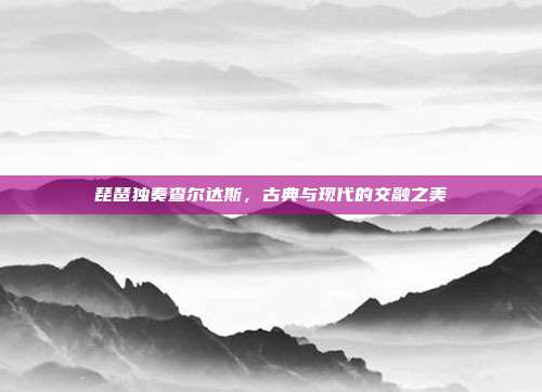 琵琶独奏查尔达斯，古典与现代的交融之美
