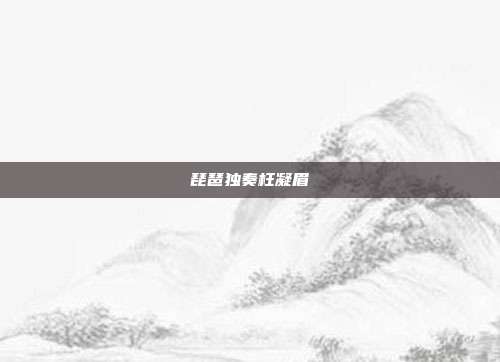琵琶独奏枉凝眉