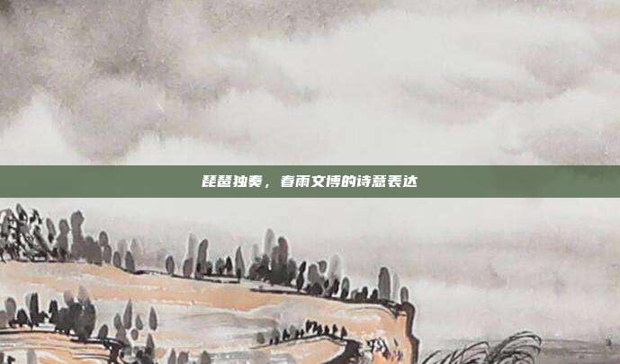 琵琶独奏，春雨文博的诗意表达
