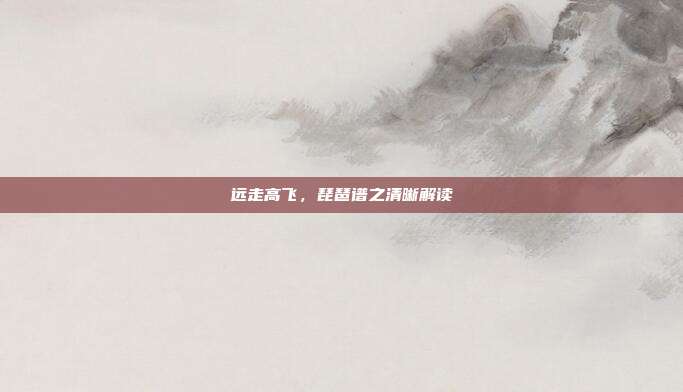 远走高飞，琵琶谱之清晰解读