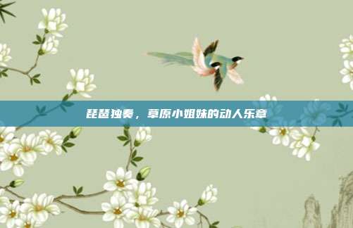 琵琶独奏，草原小姐妹的动人乐章