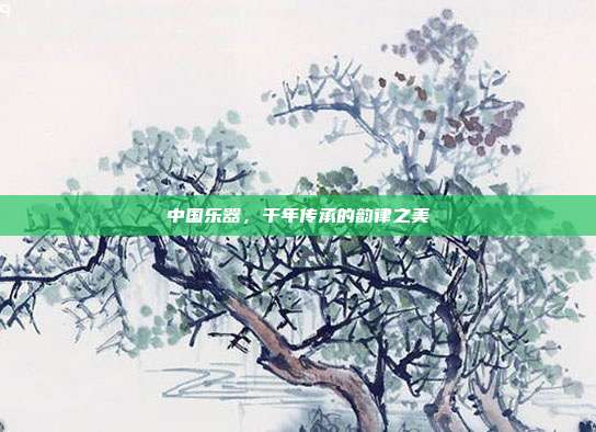 中国乐器，千年传承的韵律之美