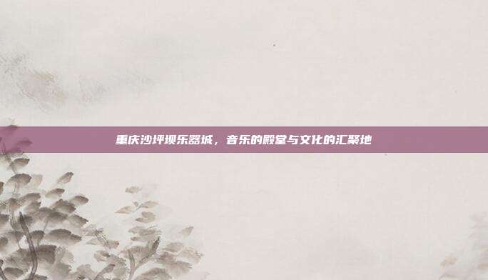 重庆沙坪坝乐器城，音乐的殿堂与文化的汇聚地