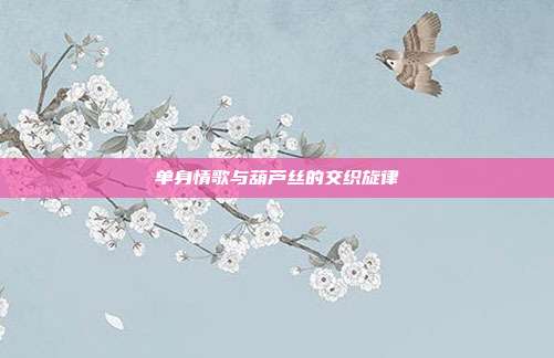 单身情歌与葫芦丝的交织旋律