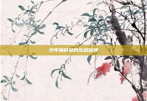 少年锦时前的乐器旋律