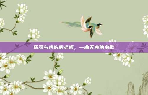 乐器与忧伤的老板,一曲无言的悲歌