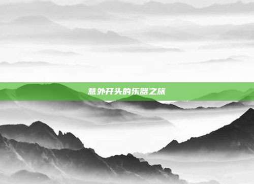 意外开头的乐器之旅