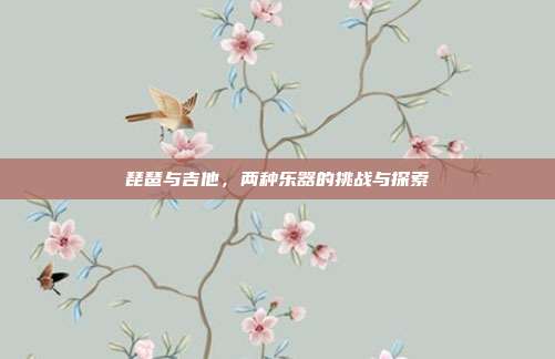琵琶与吉他，两种乐器的挑战与探索
