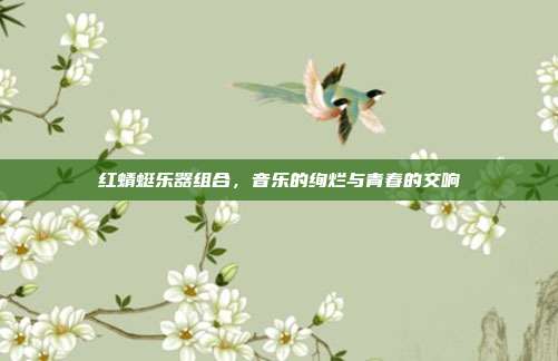 红蜻蜓乐器组合，音乐的绚烂与青春的交响