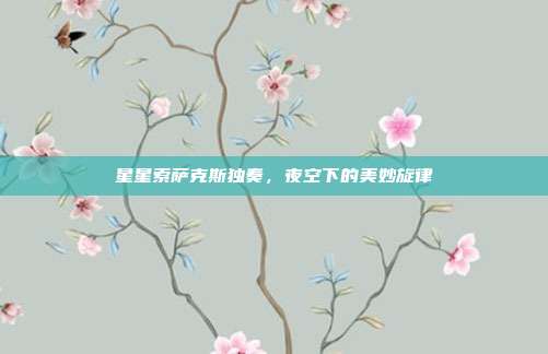 星星索萨克斯独奏，夜空下的美妙旋律
