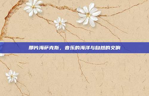 那片海萨克斯，音乐的海洋与自然的交响