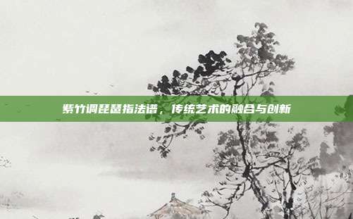 紫竹调琵琶指法谱，传统艺术的融合与创新