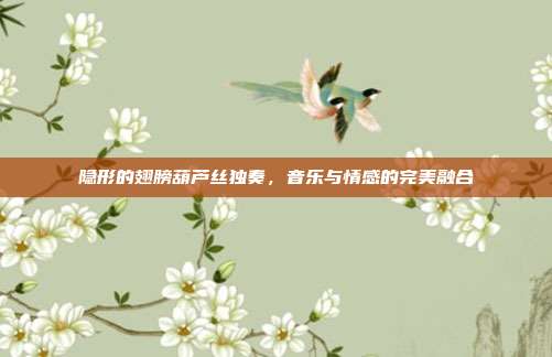 隐形的翅膀葫芦丝独奏，音乐与情感的完美融合