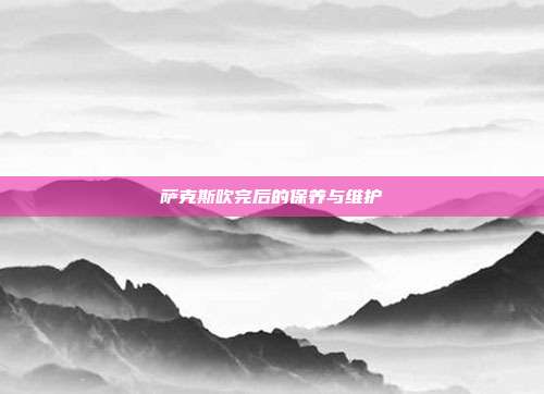 萨克斯吹完后的保养与维护