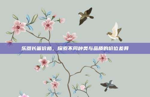 乐器长笛价格，探索不同种类与品质的价位差异