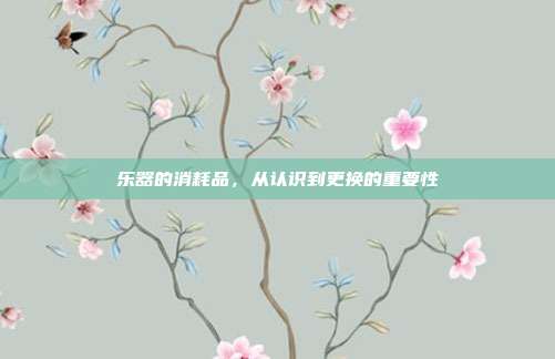 乐器的消耗品，从认识到更换的重要性