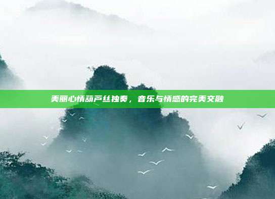 美丽心情葫芦丝独奏，音乐与情感的完美交融