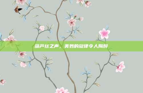 葫芦丝之声,美妙的旋律令人陶醉