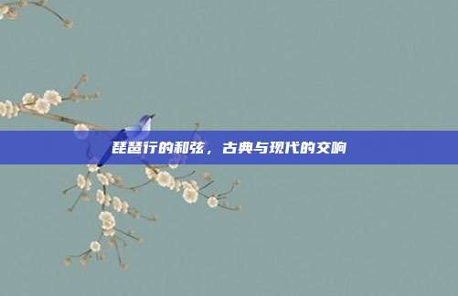 琵琶行的和弦，古典与现代的交响