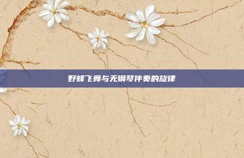 野蜂飞舞与无钢琴伴奏的旋律