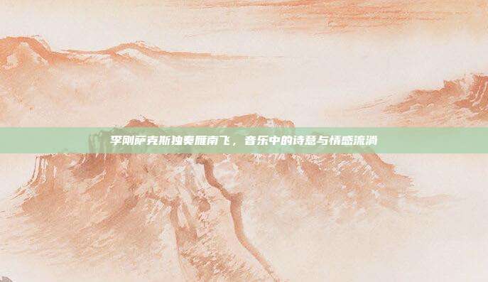 李刚萨克斯独奏雁南飞，音乐中的诗意与情感流淌