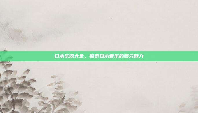 日本乐器大全，探索日本音乐的多元魅力