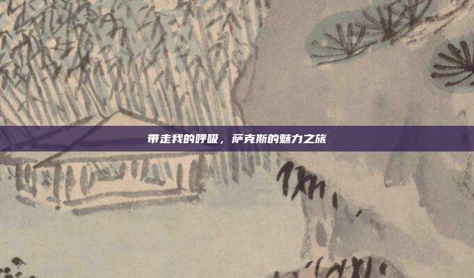 带走我的呼吸,萨克斯的魅力之旅