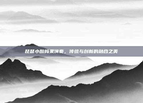琵琶小酸梅果演奏，传统与创新的融合之美