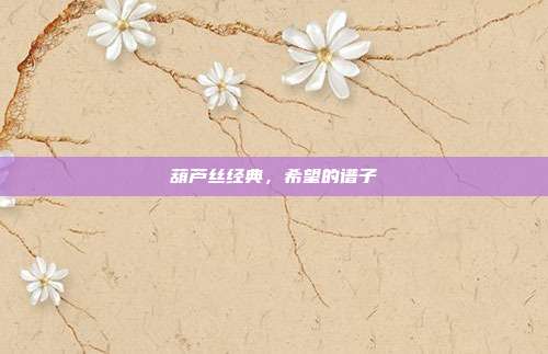 葫芦丝经典，希望的谱子