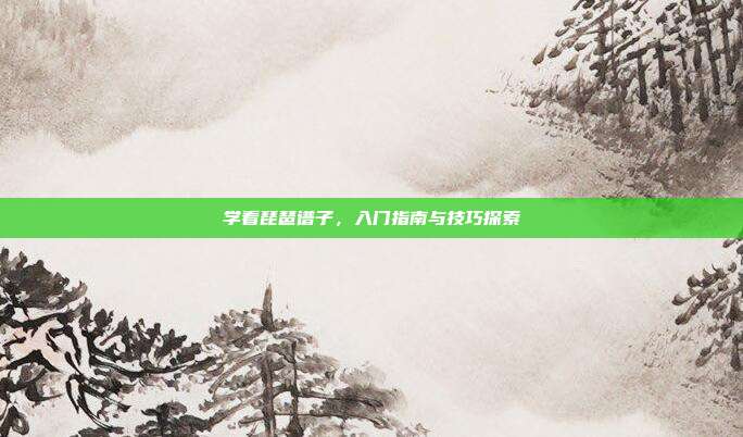 学看琵琶谱子，入门指南与技巧探索