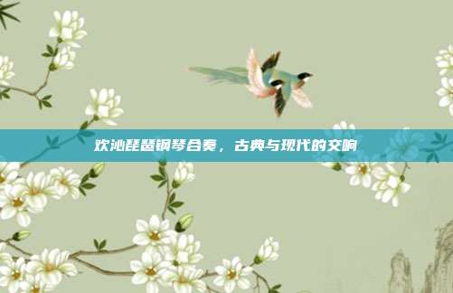 欢沁琵琶钢琴合奏，古典与现代的交响