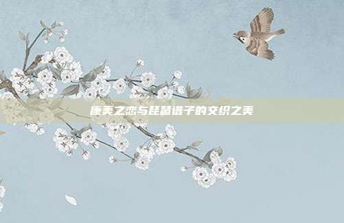 康美之恋与琵琶谱子的交织之美