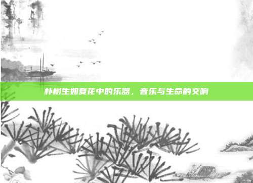 朴树生如夏花中的乐器,音乐与生命的交响