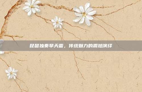 琵琶独奏旱天雷，传统魅力的震撼演绎