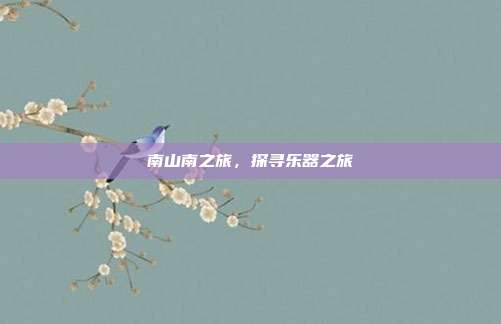 南山南之旅，探寻乐器之旅