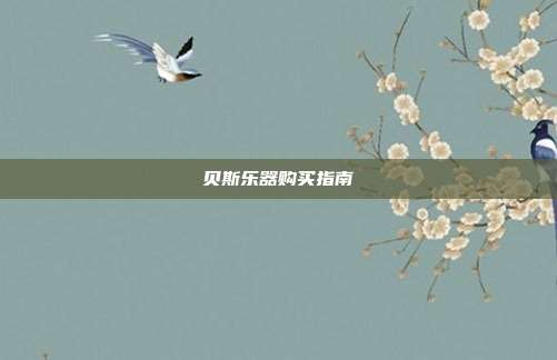 贝斯乐器购买指南