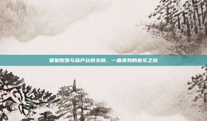 棠梨煎雪与葫芦丝的交融，一曲美妙的音乐之旅