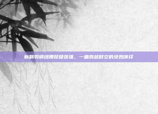 新翻羽调绿腰琵琶张强，一曲跨越时空的绝妙演绎